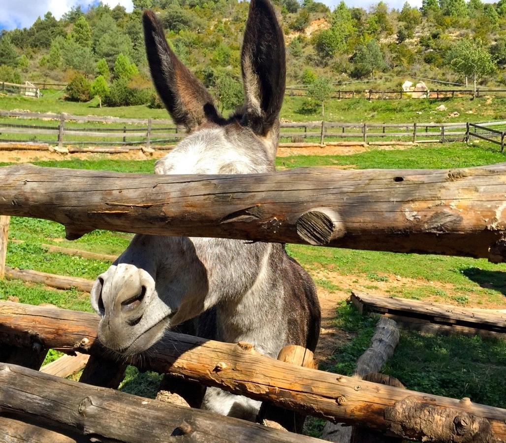 Cal Paller Otel Montargull de la Vansa Dış mekan fotoğraf